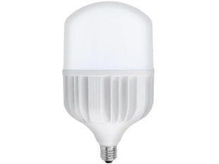 Лампа LED TORCH, 100W, 6400K, 10000 Lm, E27, 175-250V, Horoz BR-0726-NN-15197 фото