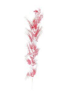 Искусственные цветы (ветки), Gelicik Decor, Asparagus BR-0726-NN-0264 фото