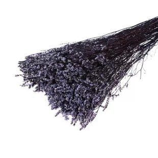 Веточка декоративная, сухоцвет Лимония, искуствнная, 66cm BR-0726-NN-0315 фото