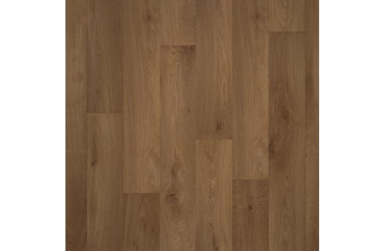 Линолеум Premier Extra bright OAK 3269/ 4,0 м BR-09023 фото