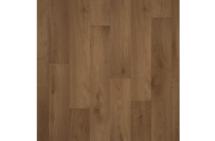 Линолеум Premier Extra bright OAK 3269/ 3.5 м BR-08897 фото